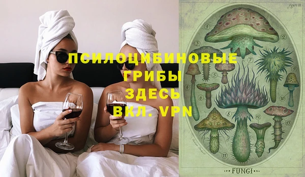 spice Арсеньев