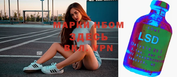 гашик Аркадак