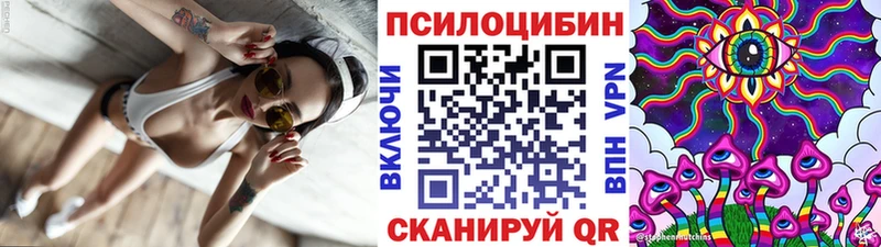 Псилоцибиновые грибы GOLDEN TEACHER  Купить закладки  Спасск 